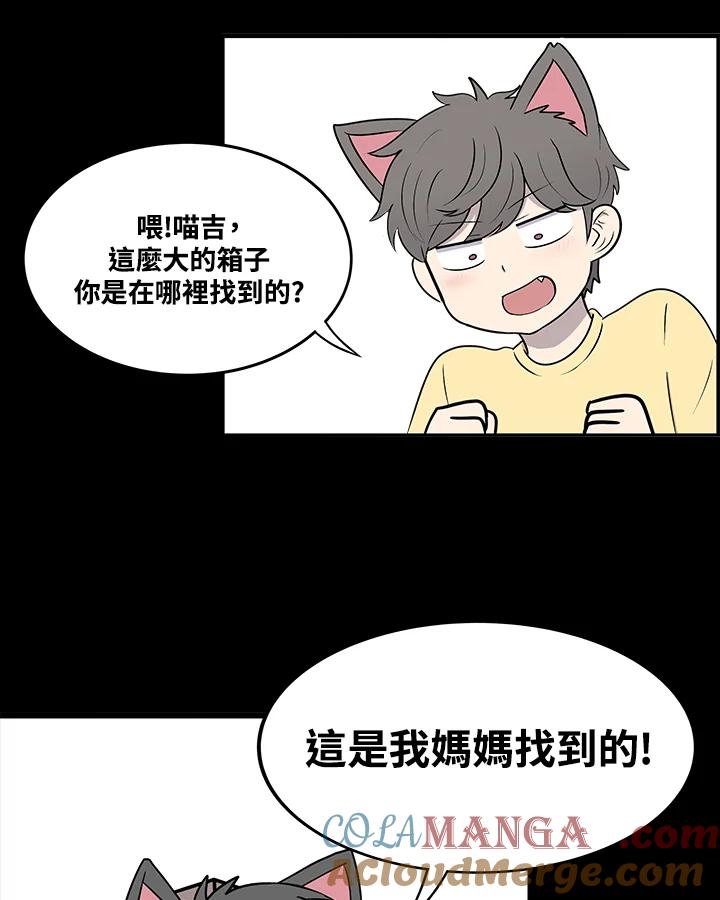 《喵星人管家》第45话 箱子(2) 第19页