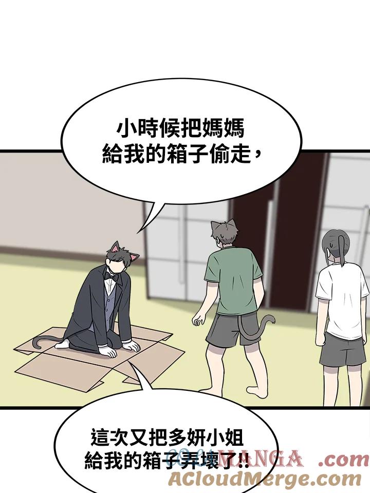 《喵星人管家》第45话 箱子(2) 第37页