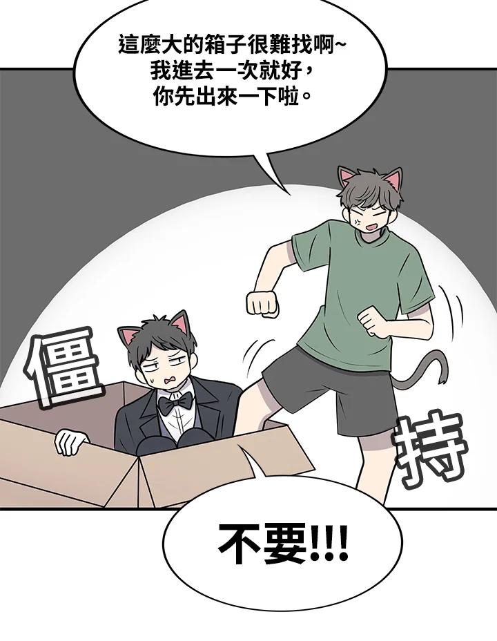 《喵星人管家》第45话 箱子(2) 第5页