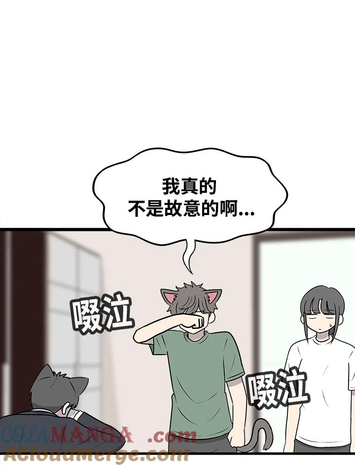 《喵星人管家》第45话 箱子(2) 第43页
