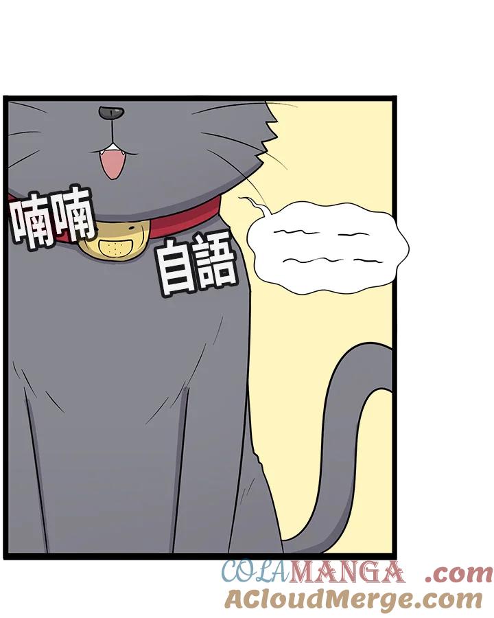 《喵星人管家》第46话 花生(1) 第37页