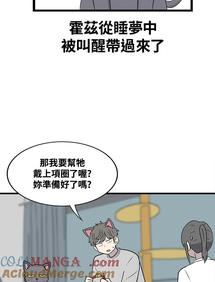 《喵星人管家》第46话 花生(1) 第29页