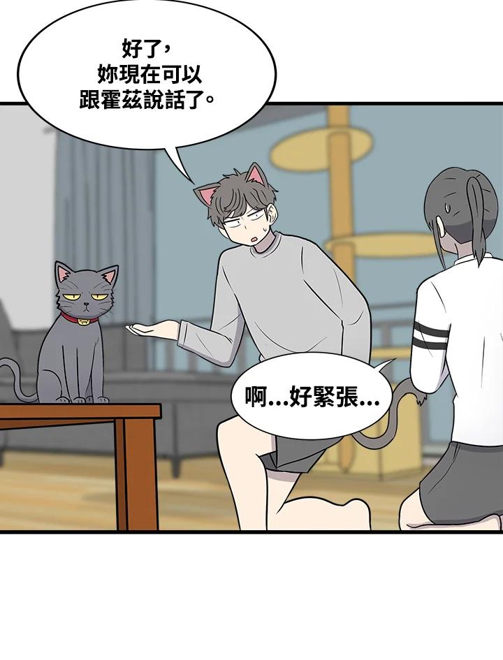 《喵星人管家》第46话 花生(1) 第32页
