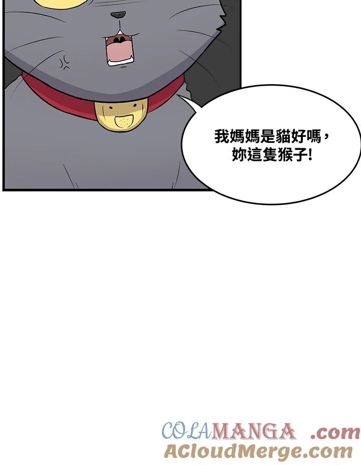 《喵星人管家》第47话 花生(2) 第4页