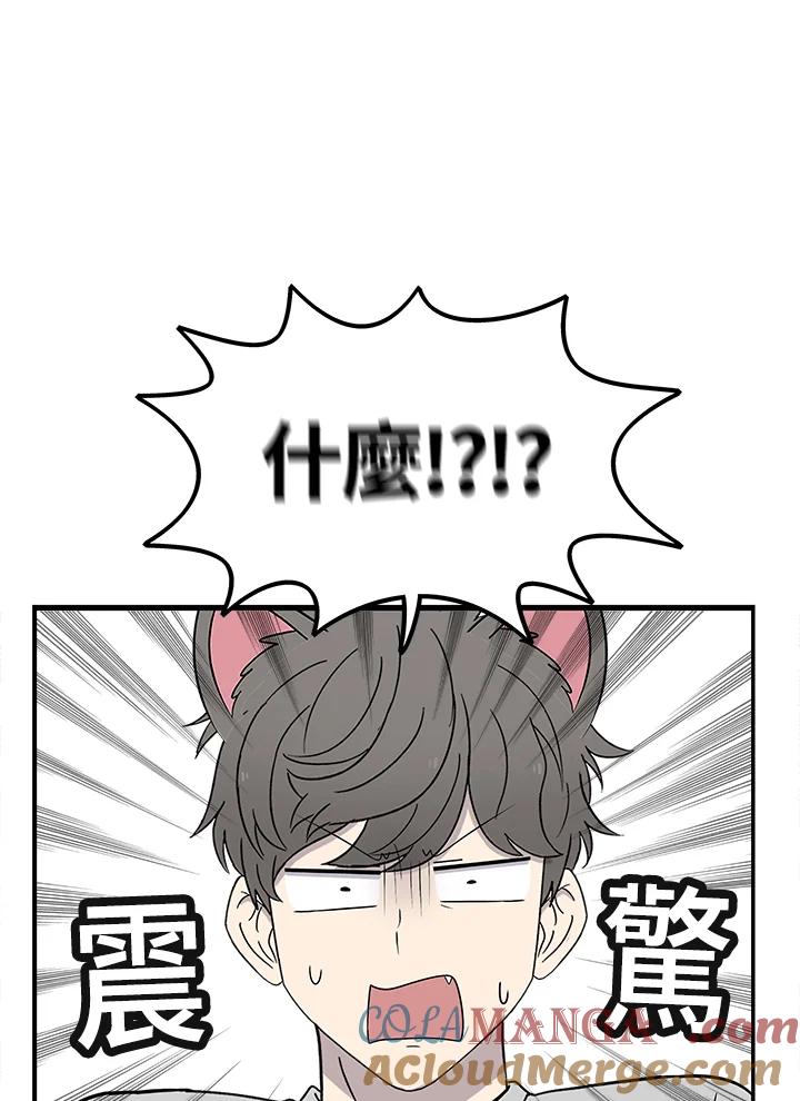 《喵星人管家》第47话 花生(2) 第31页