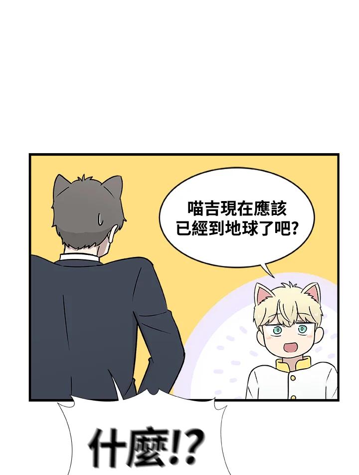 《喵星人管家》第3话 请多指教。 第47页
