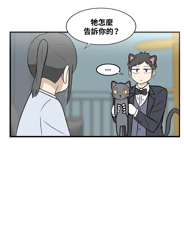 《喵星人管家》第3话 请多指教。 第15页