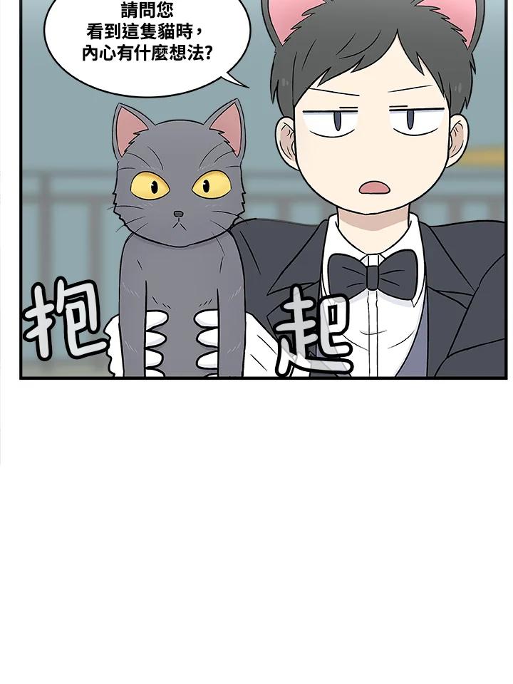 《喵星人管家》第3话 请多指教。 第21页