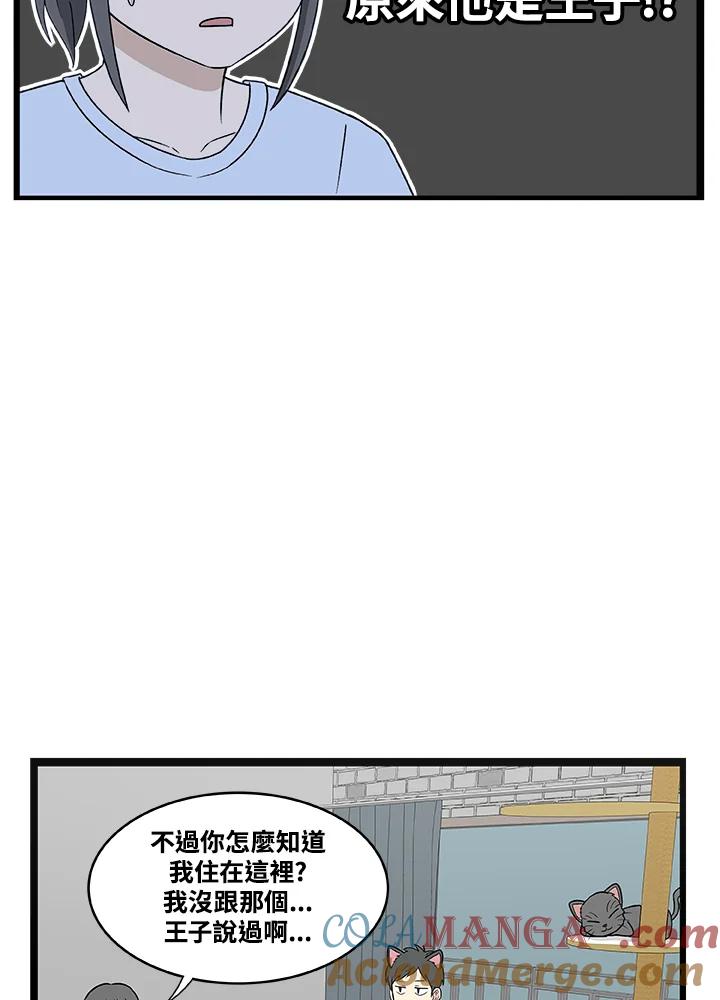 《喵星人管家》第3话 请多指教。 第7页
