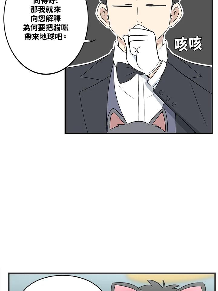 《喵星人管家》第3话 请多指教。 第20页