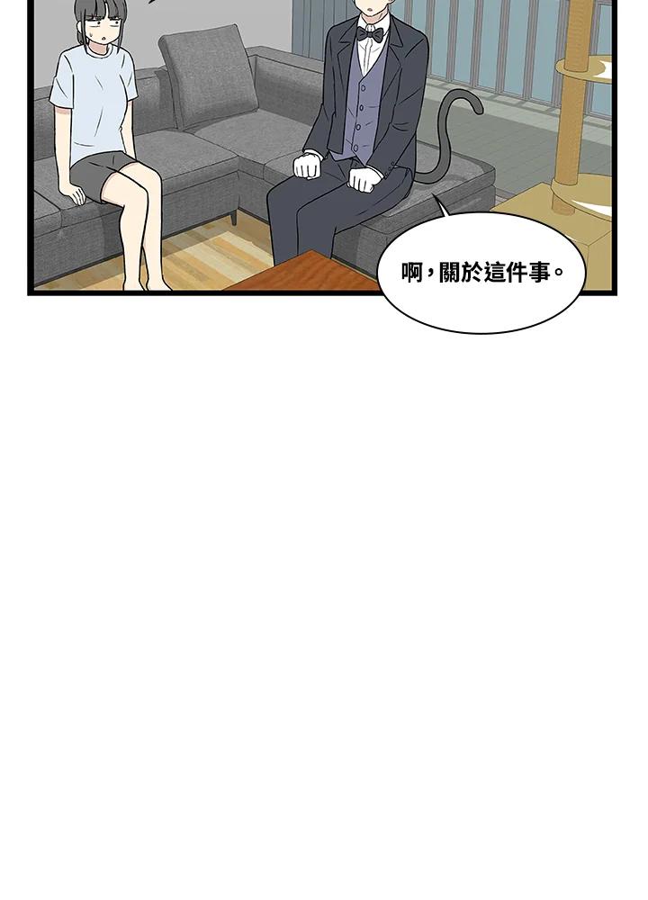 《喵星人管家》第3话 请多指教。 第8页
