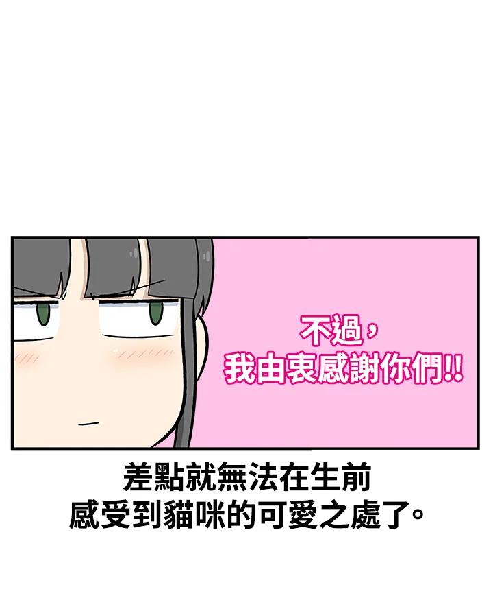 《喵星人管家》第3话 请多指教。 第26页