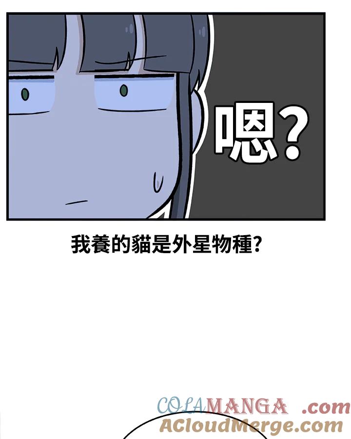 《喵星人管家》第3话 请多指教。 第13页
