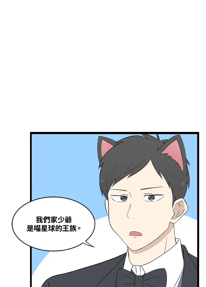 《喵星人管家》第3话 请多指教。 第5页