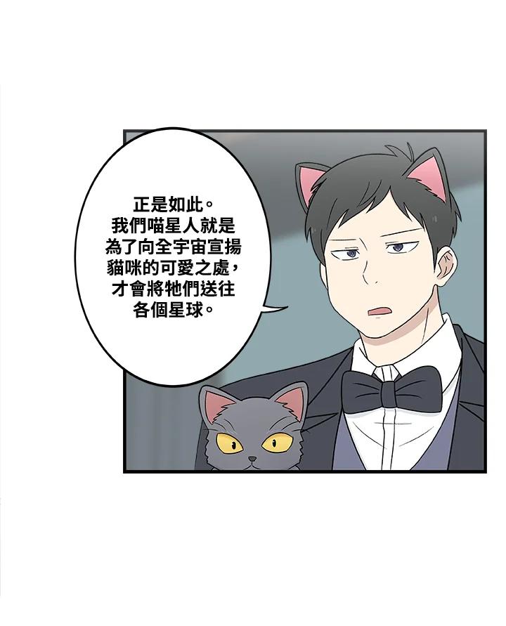 《喵星人管家》第3话 请多指教。 第24页