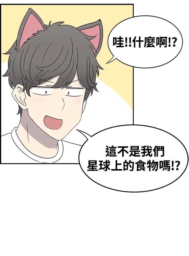 《喵星人管家》第48话 故乡的味道 第15页