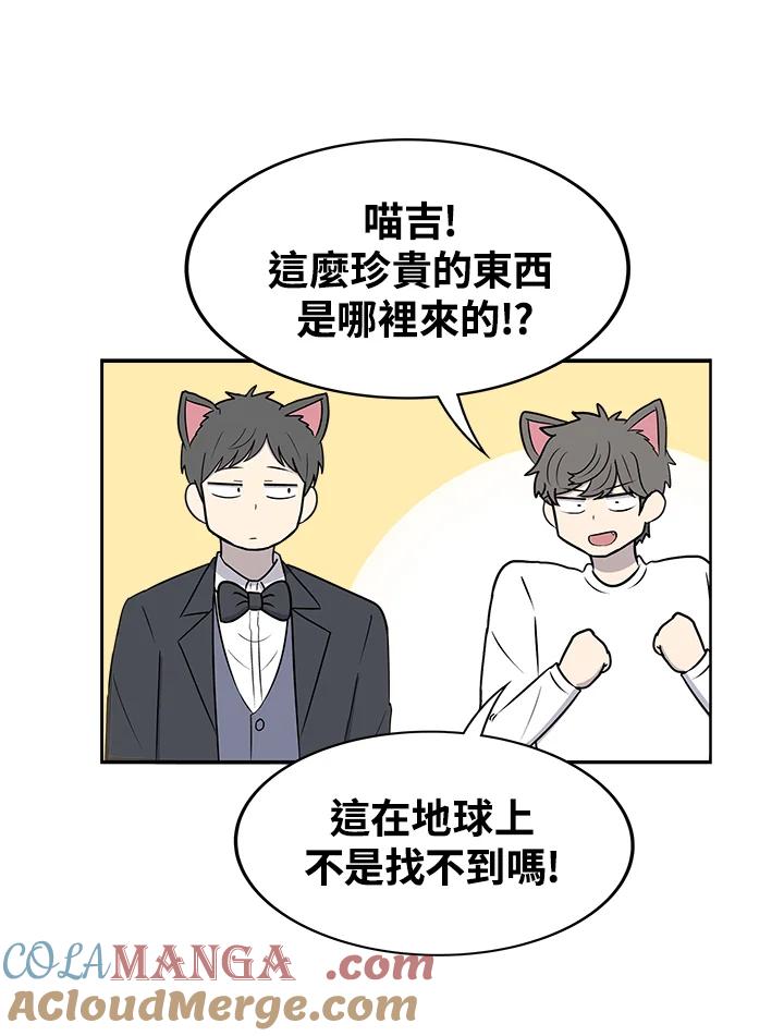 《喵星人管家》第48话 故乡的味道 第16页