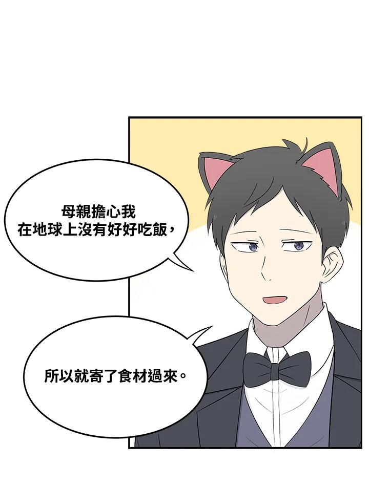 《喵星人管家》第48话 故乡的味道 第17页
