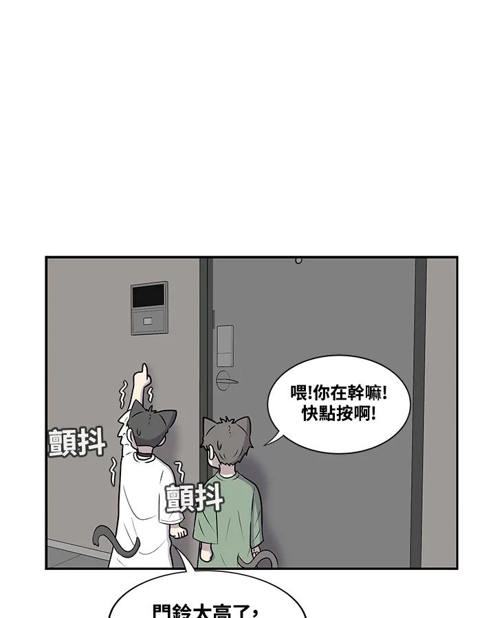 《喵星人管家》第50话 小孩(2) 第12页