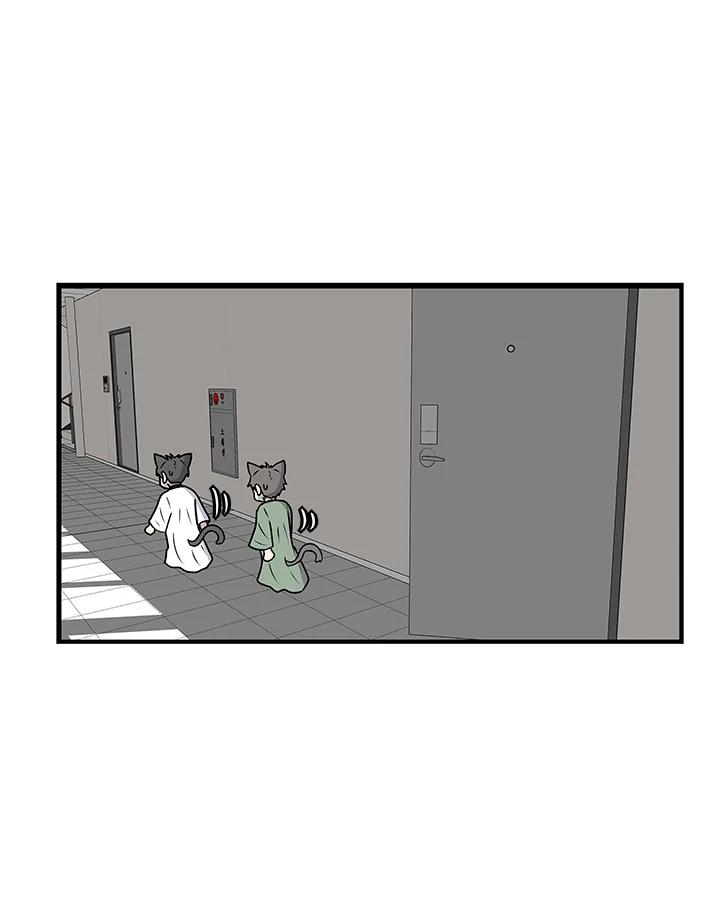 《喵星人管家》第50话 小孩(2) 第11页