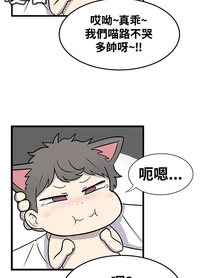 《喵星人管家》第52话 小婴儿(1) 第42页