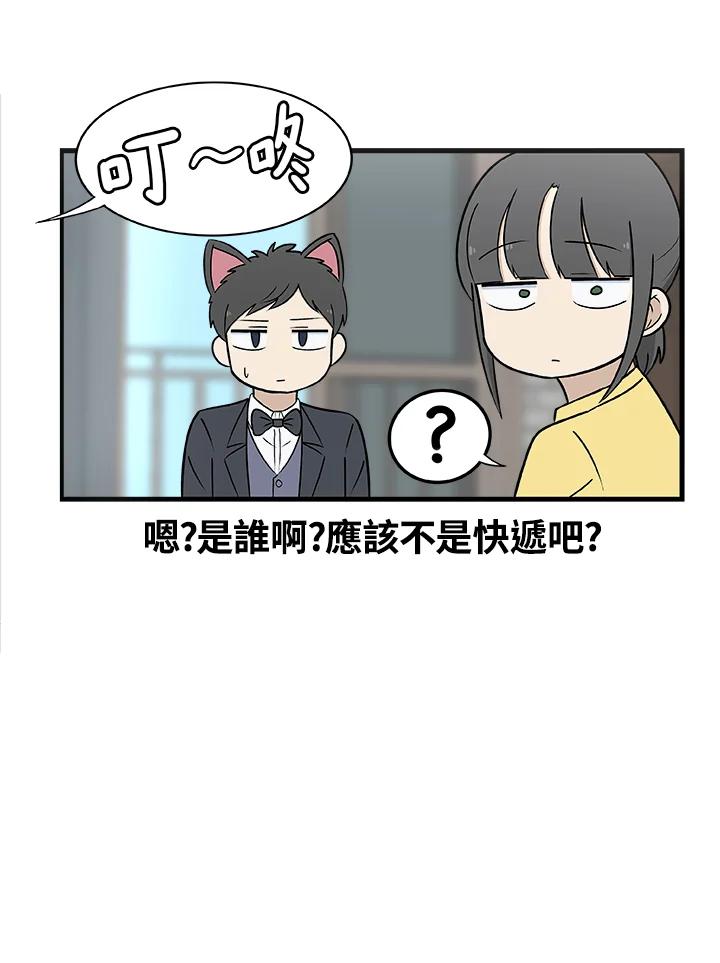《喵星人管家》第4话 新面孔 第34页