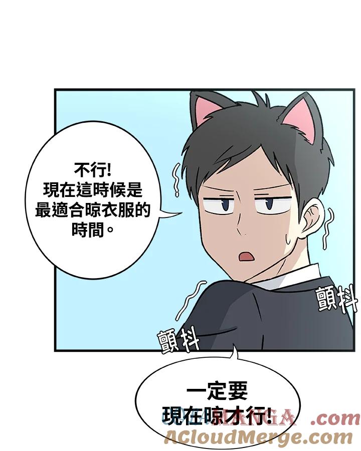 《喵星人管家》第4话 新面孔 第21页