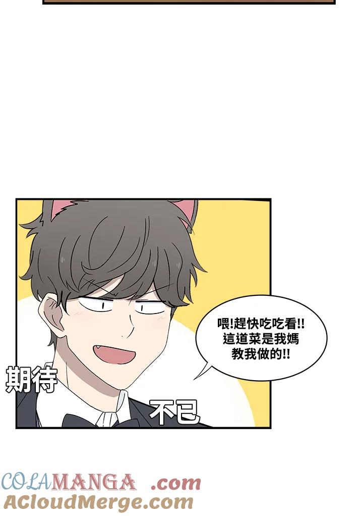 《喵星人管家》第6话 新家人 第3页