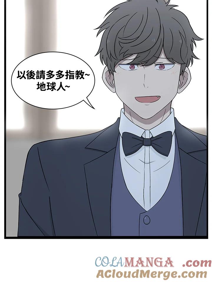 《喵星人管家》第7话 喵路(上) 第11页