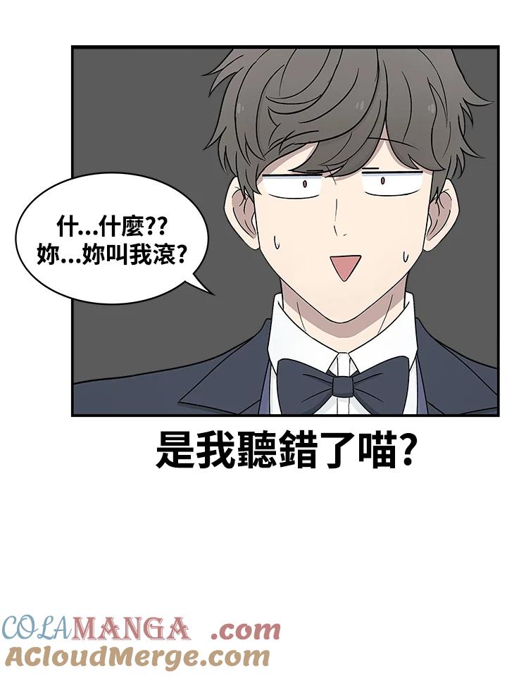 《喵星人管家》第7话 喵路(上) 第15页
