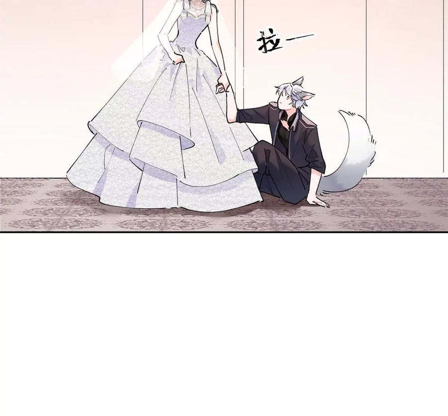 《白天被逃婚晚上被奶凶指挥官求抱》03 我只是按规矩办事 第14页