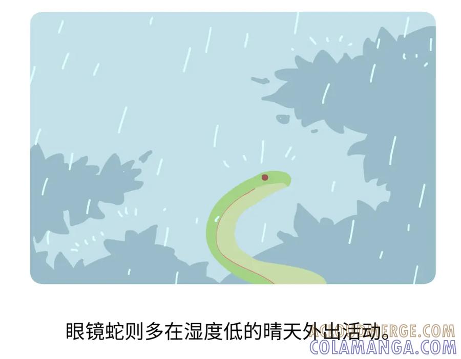 《胖达x胖达》第252话 第23页