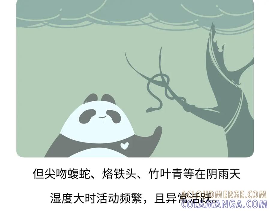 《胖达x胖达》第252话 第21页