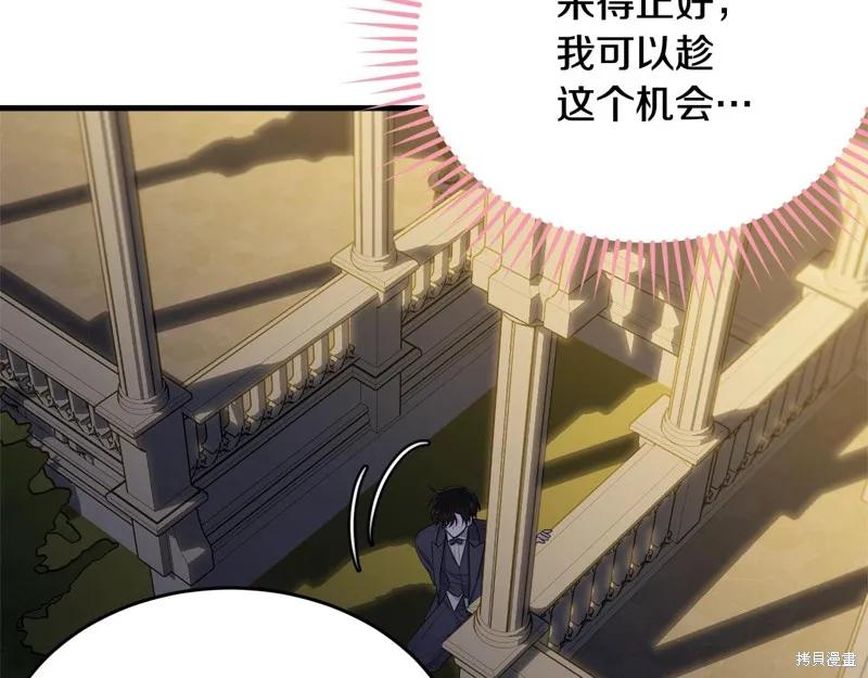 《明明是冷美人小姐却变成了忠犬大少爷》第72话 第120页