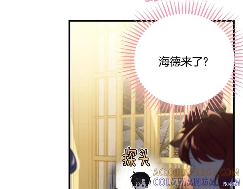 《明明是冷美人小姐却变成了忠犬大少爷》第72话 第117页