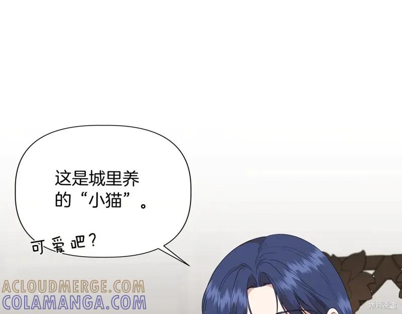 我不再是灰姑娘 第132话 第13页