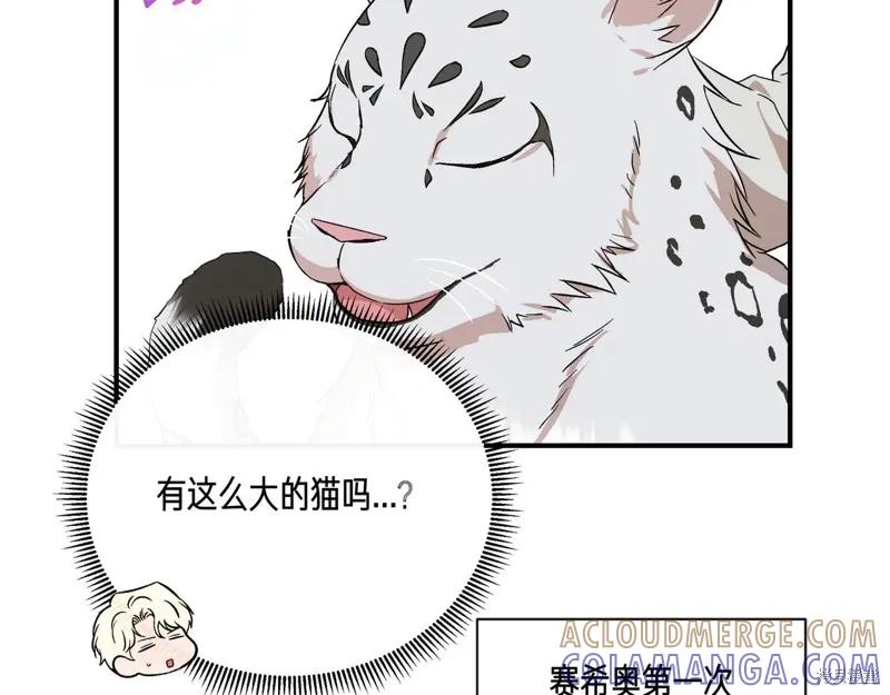 我不再是灰姑娘 第132话 第17页