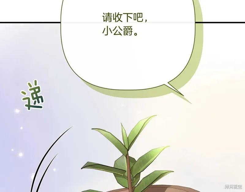 我不再是灰姑娘 第140话 第80页
