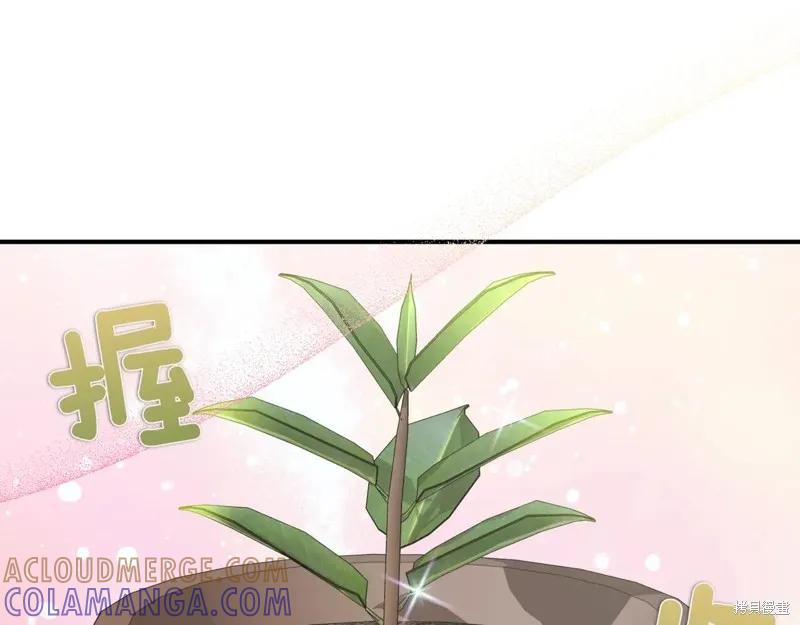 我不再是灰姑娘 第140话 第125页