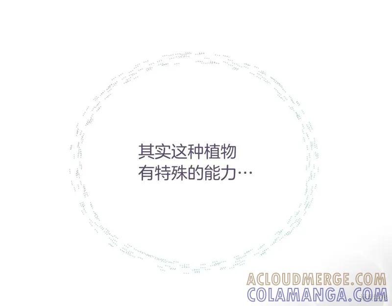 我不再是灰姑娘 第141话 第197页