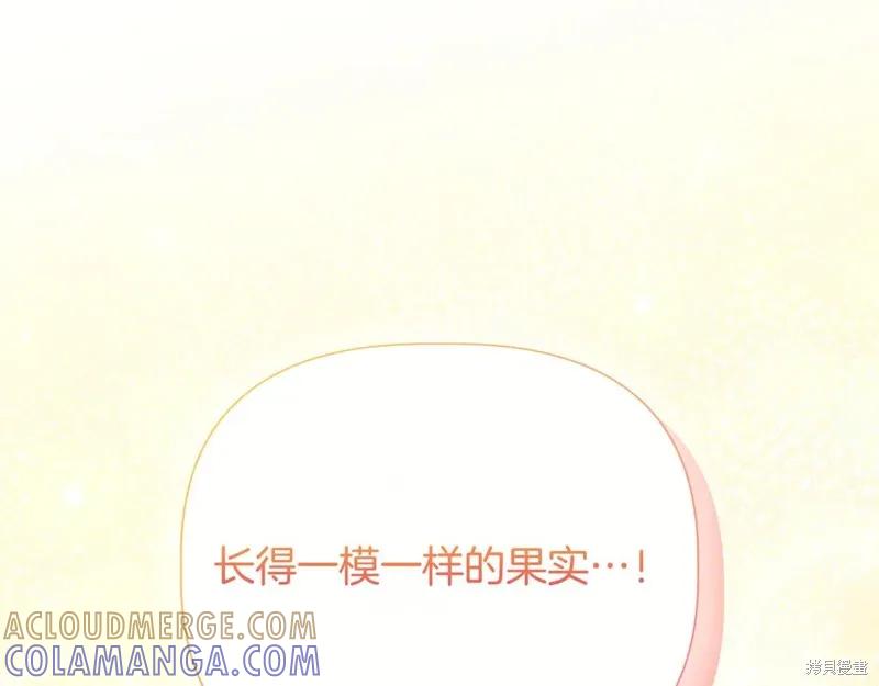 我不再是灰姑娘 第141话 第205页