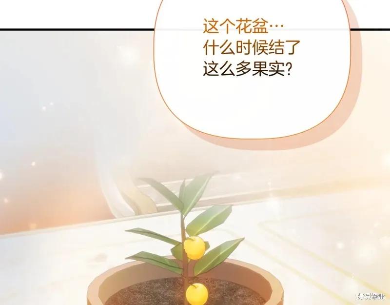 我不再是灰姑娘 第141话 第195页