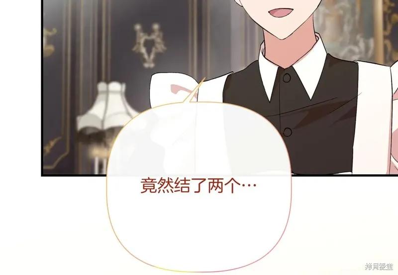 我不再是灰姑娘 第141话 第204页
