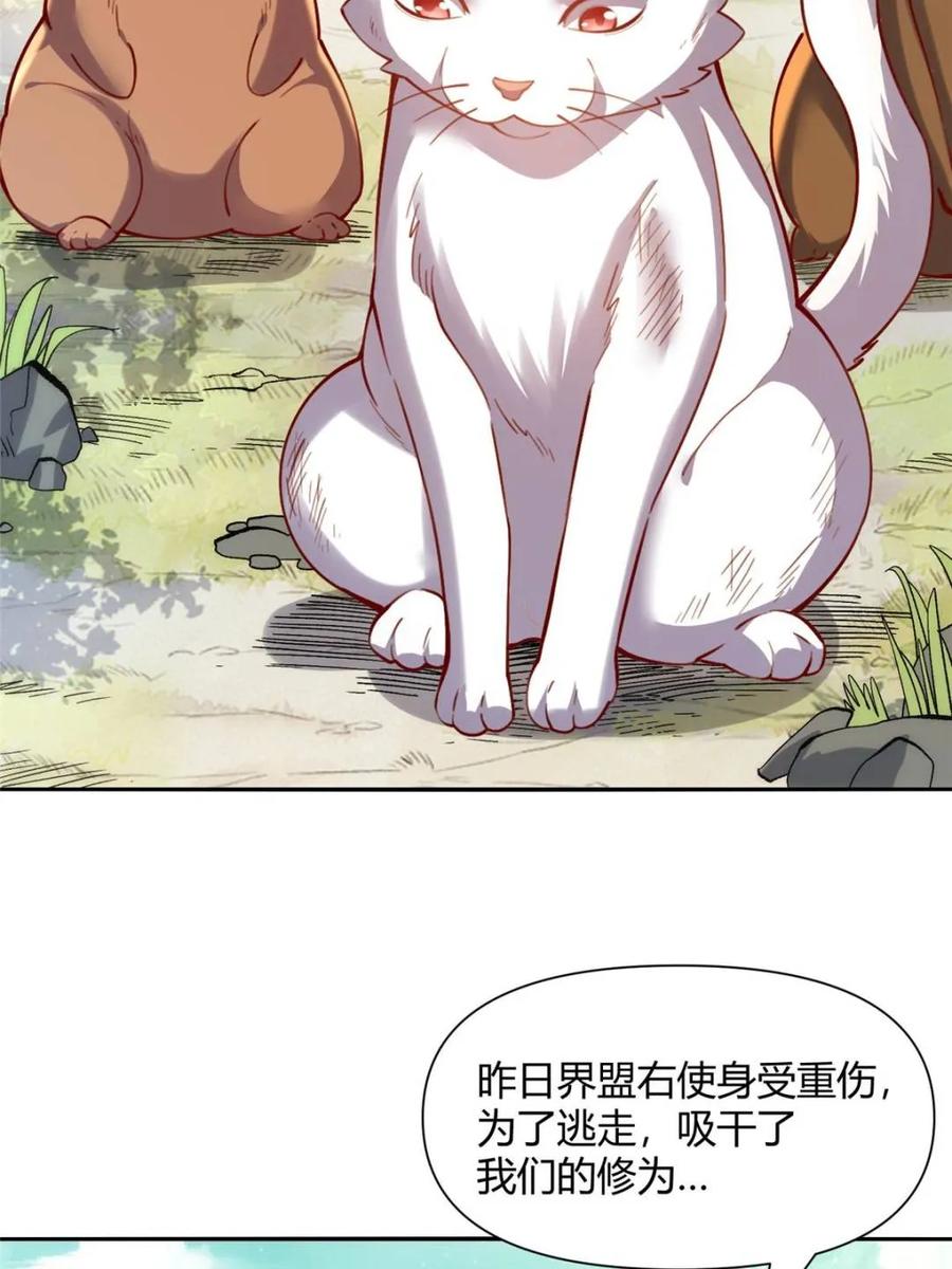 《原来我是修仙大佬》第464话 464话 第35页