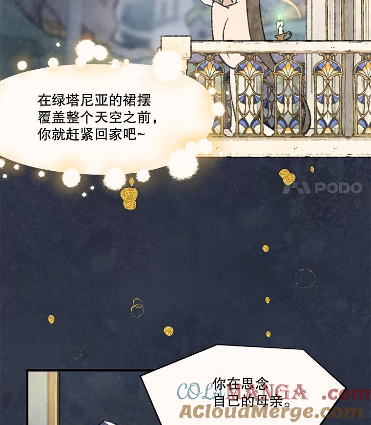 《在流星坠落之处等待》84.银色猫头鹰（完） 第43页