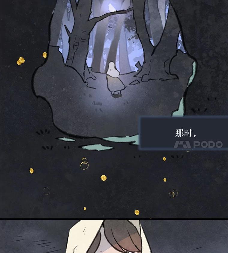 《在流星坠落之处等待》84.银色猫头鹰（完） 第54页