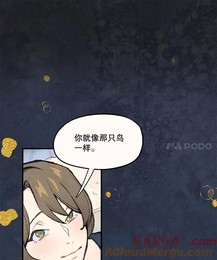 《在流星坠落之处等待》84.银色猫头鹰（完） 第61页