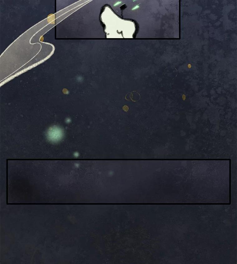 《在流星坠落之处等待》84.银色猫头鹰（完） 第69页