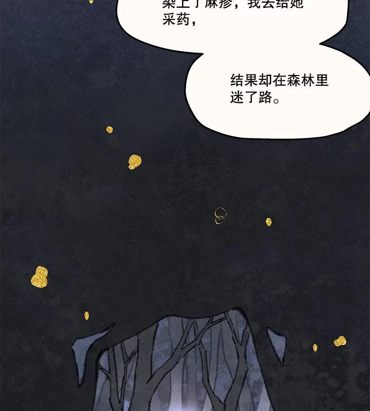 《在流星坠落之处等待》84.银色猫头鹰（完） 第53页