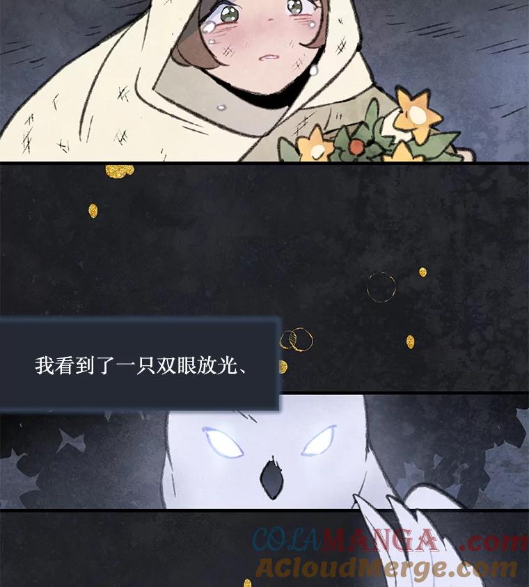 《在流星坠落之处等待》84.银色猫头鹰（完） 第55页